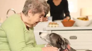 An elderly lady with her dog at home